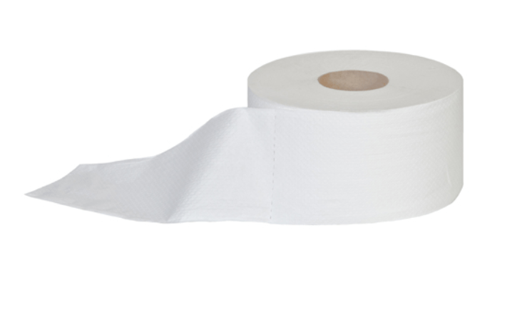 Papier toaletowy JUMBO ECCELLENTE 19 2w 150 celuloza 12 szt